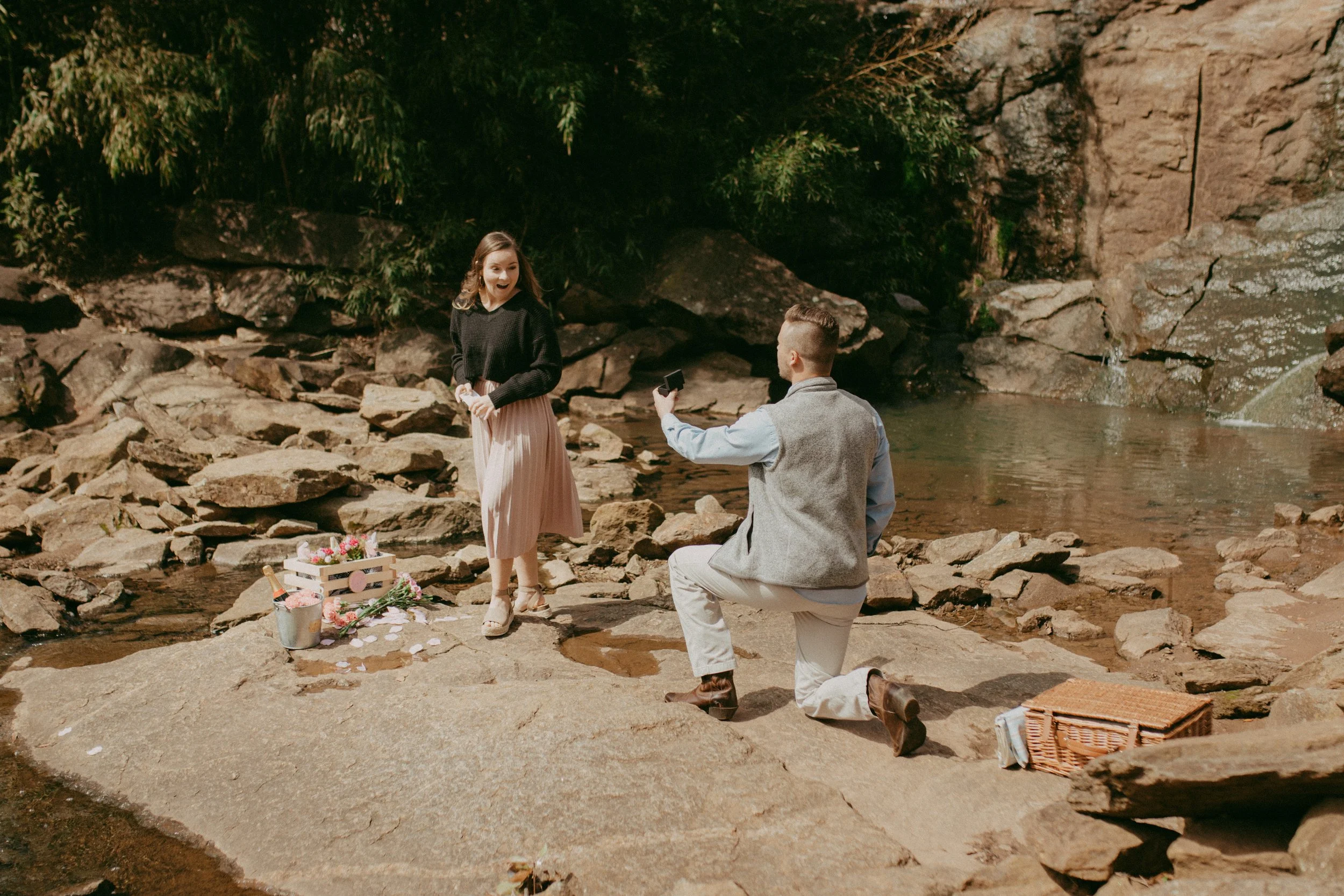 Sessions — eva higgins photography