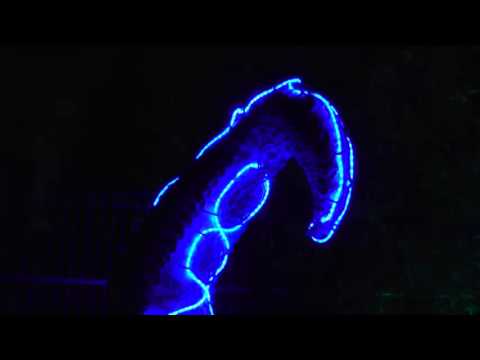backyard_lights