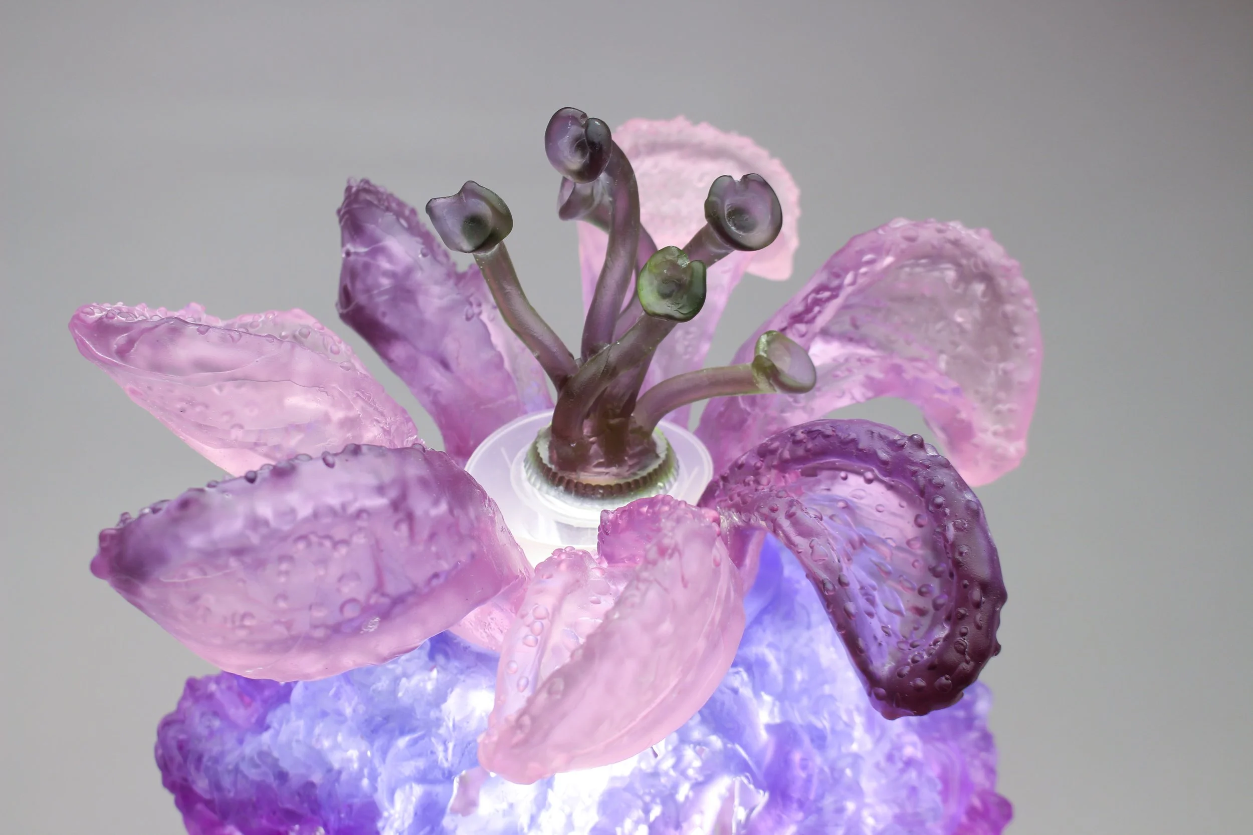 LEO:  Light Emitting Objects