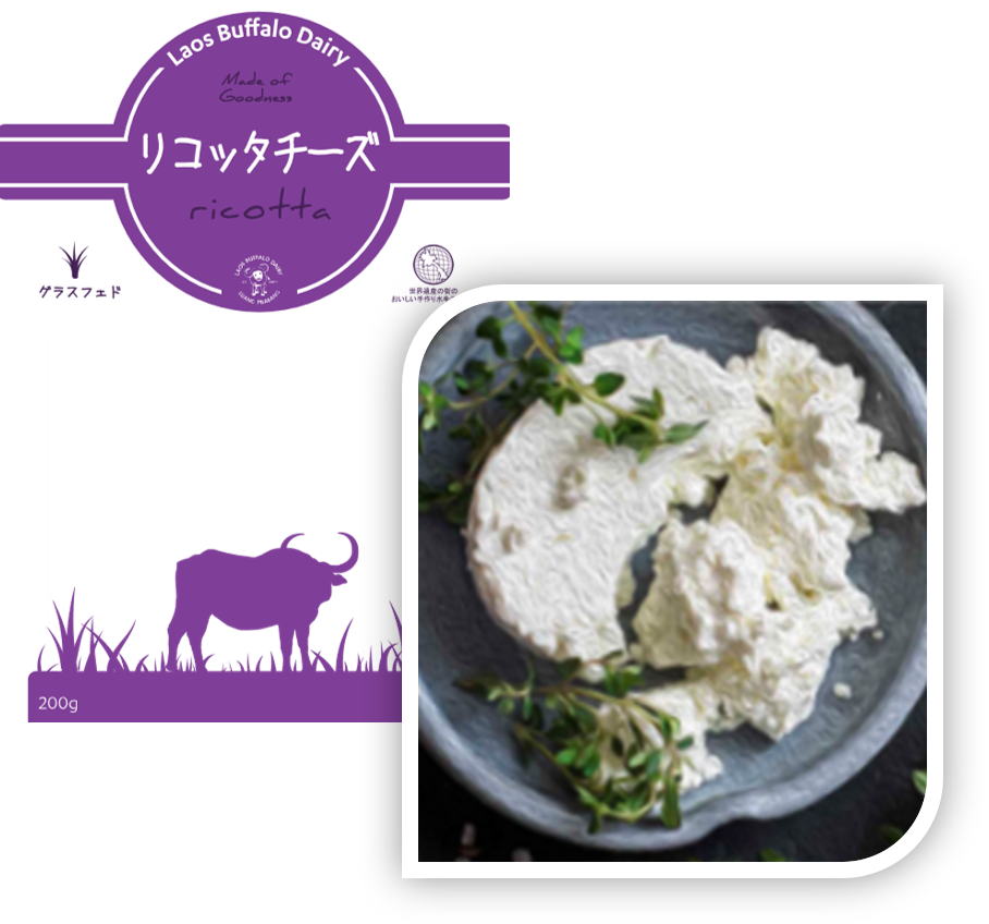 レシピ紹介 Laos Buffalo Dairy
