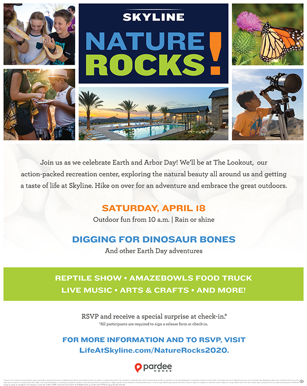 Skyline Nature Rocks Office Poster.png