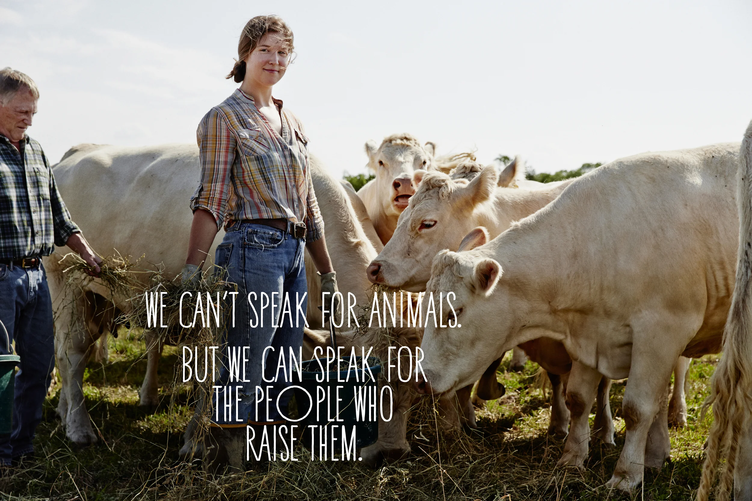 19_Cows_Double_4034.jpg