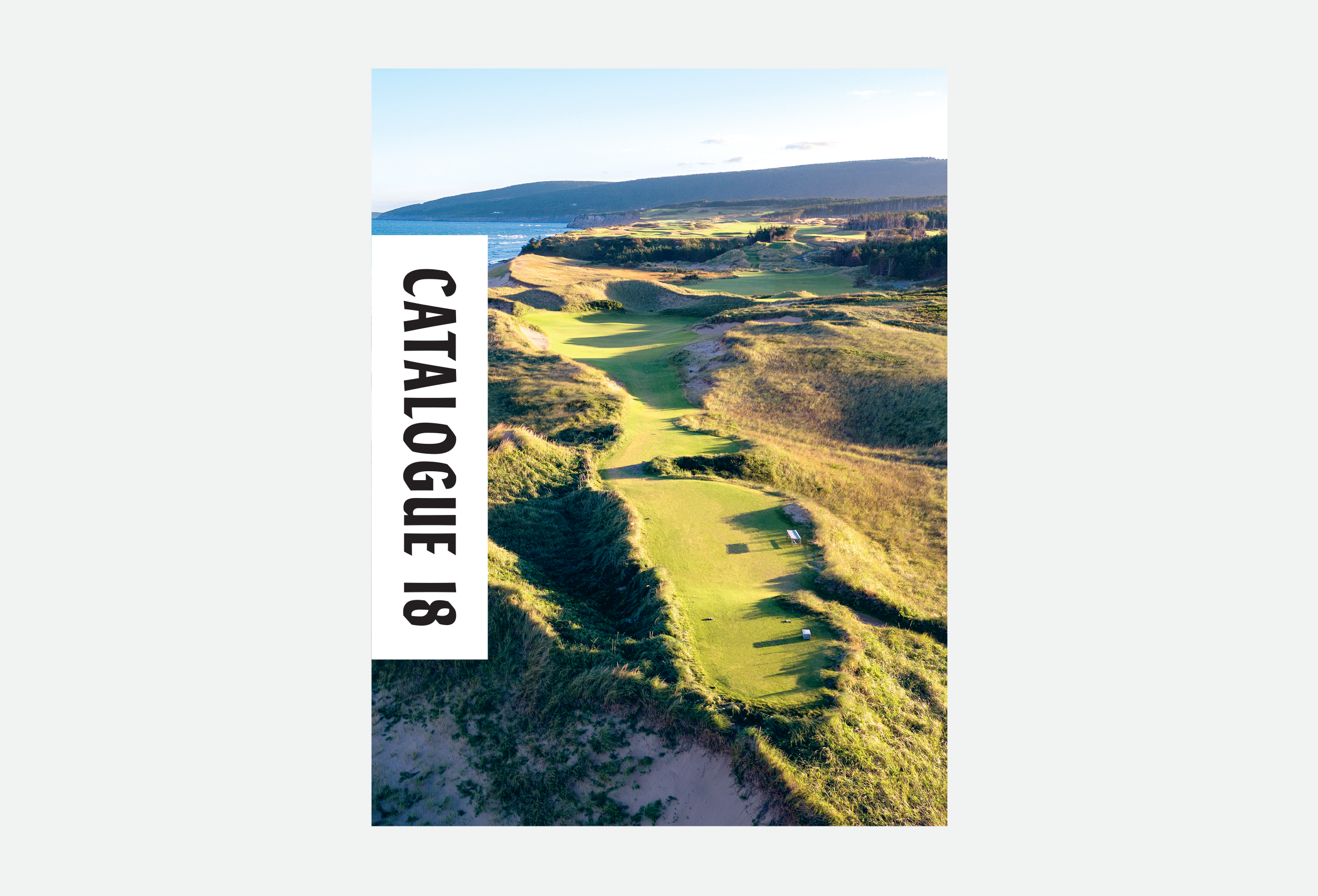 C18-Website-42.png