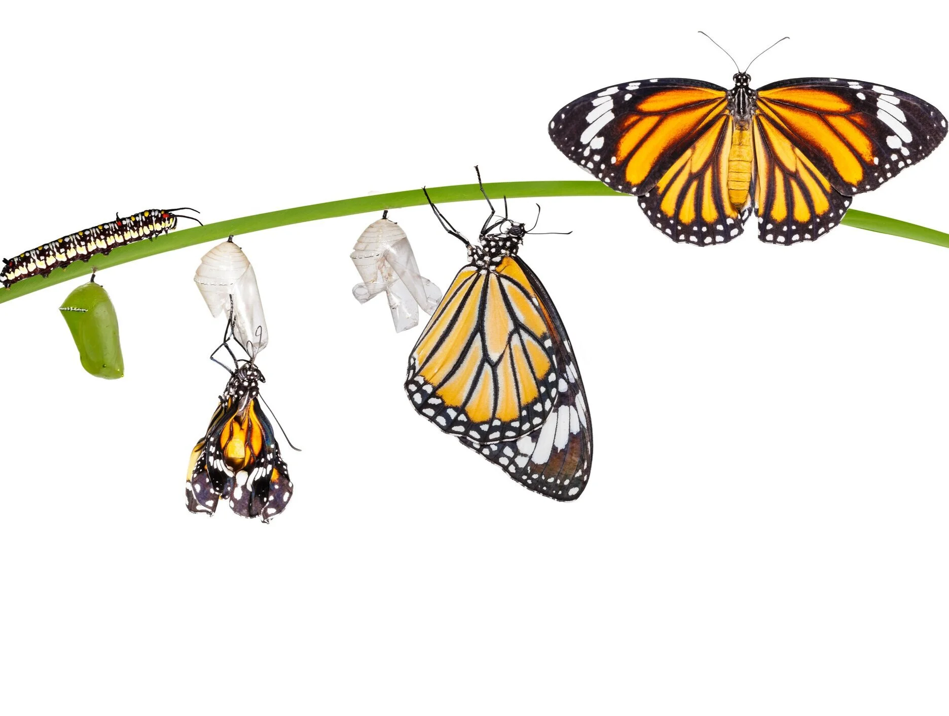 Are You Unknowingly Setting Your Team Up For Failure