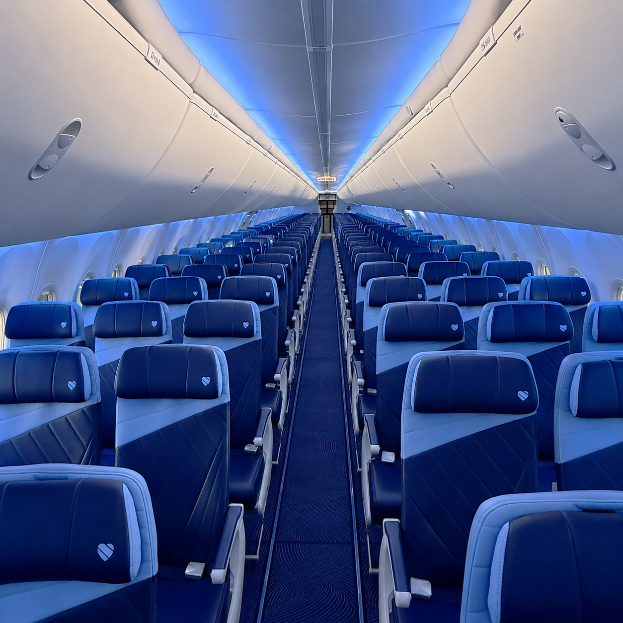 The New Cabin Experi