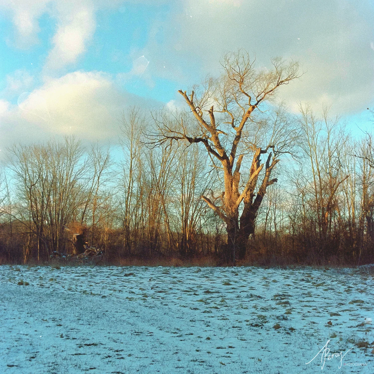 Portra400-09-Feb-Roll2-17-1PercyLee.jpg