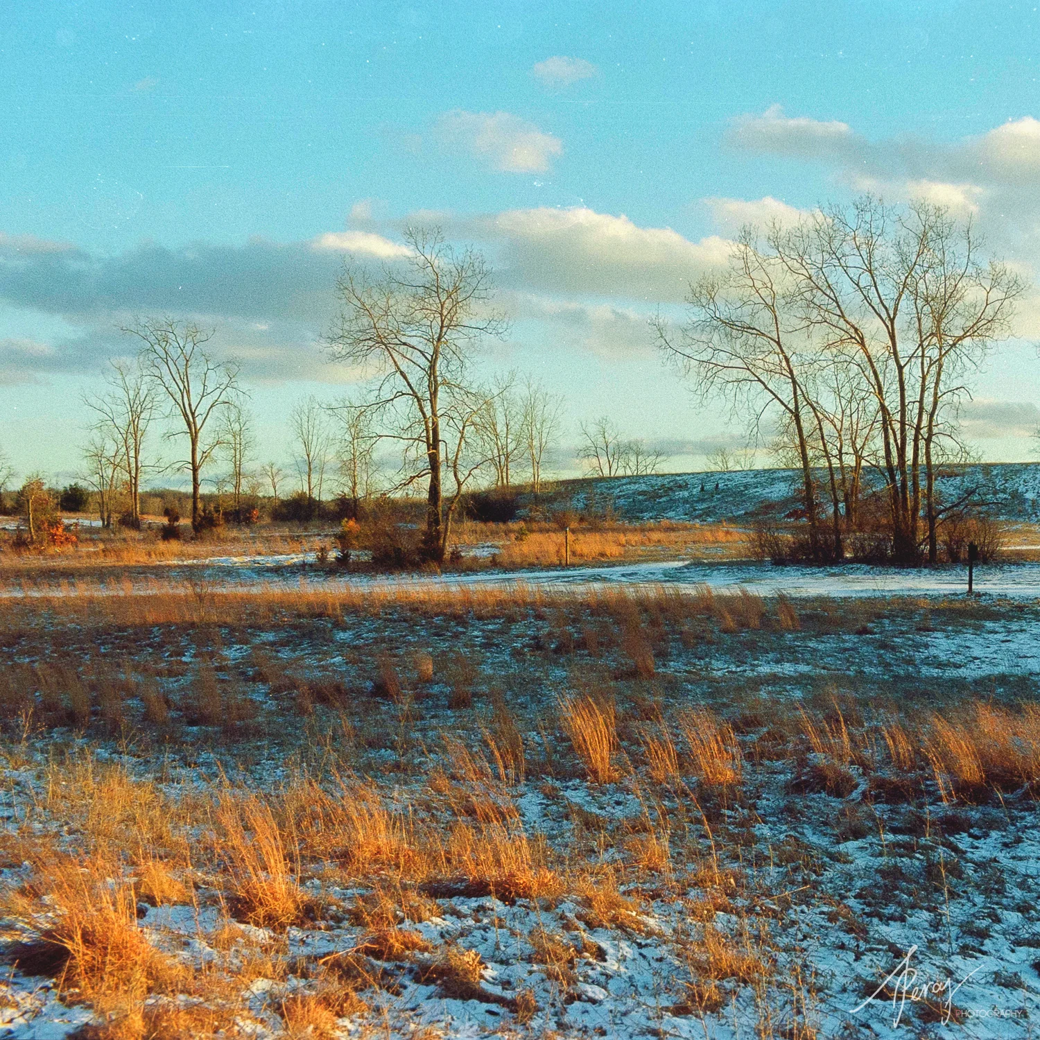 Portra400-09-Feb-Roll2-20-1PercyLee.jpg