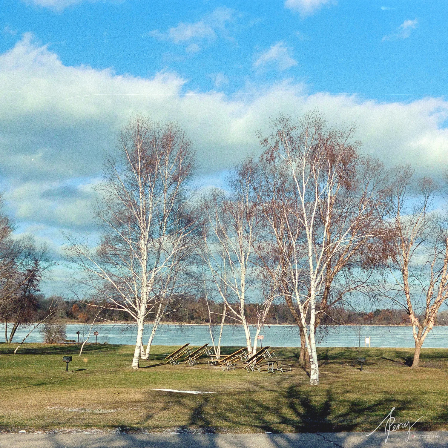Portra400-09-Feb-Roll1-26-1PercyLee.jpg