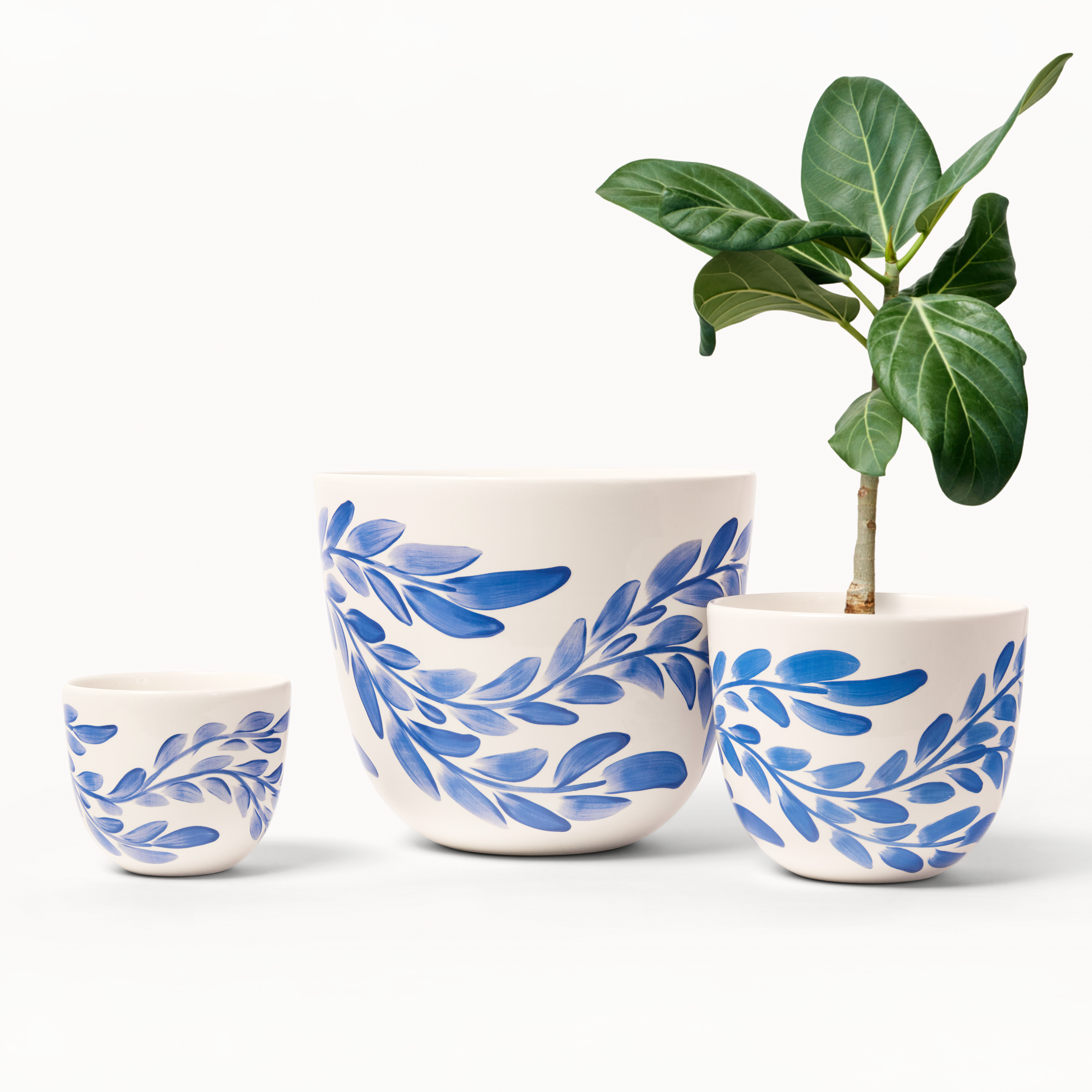 finca cob wil group 2.png