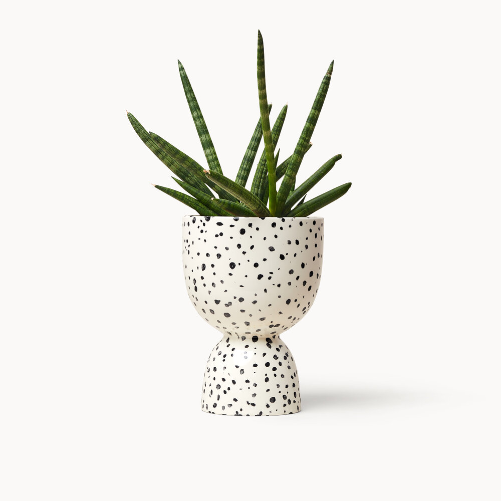 Speckled Stacked Planters — Franca