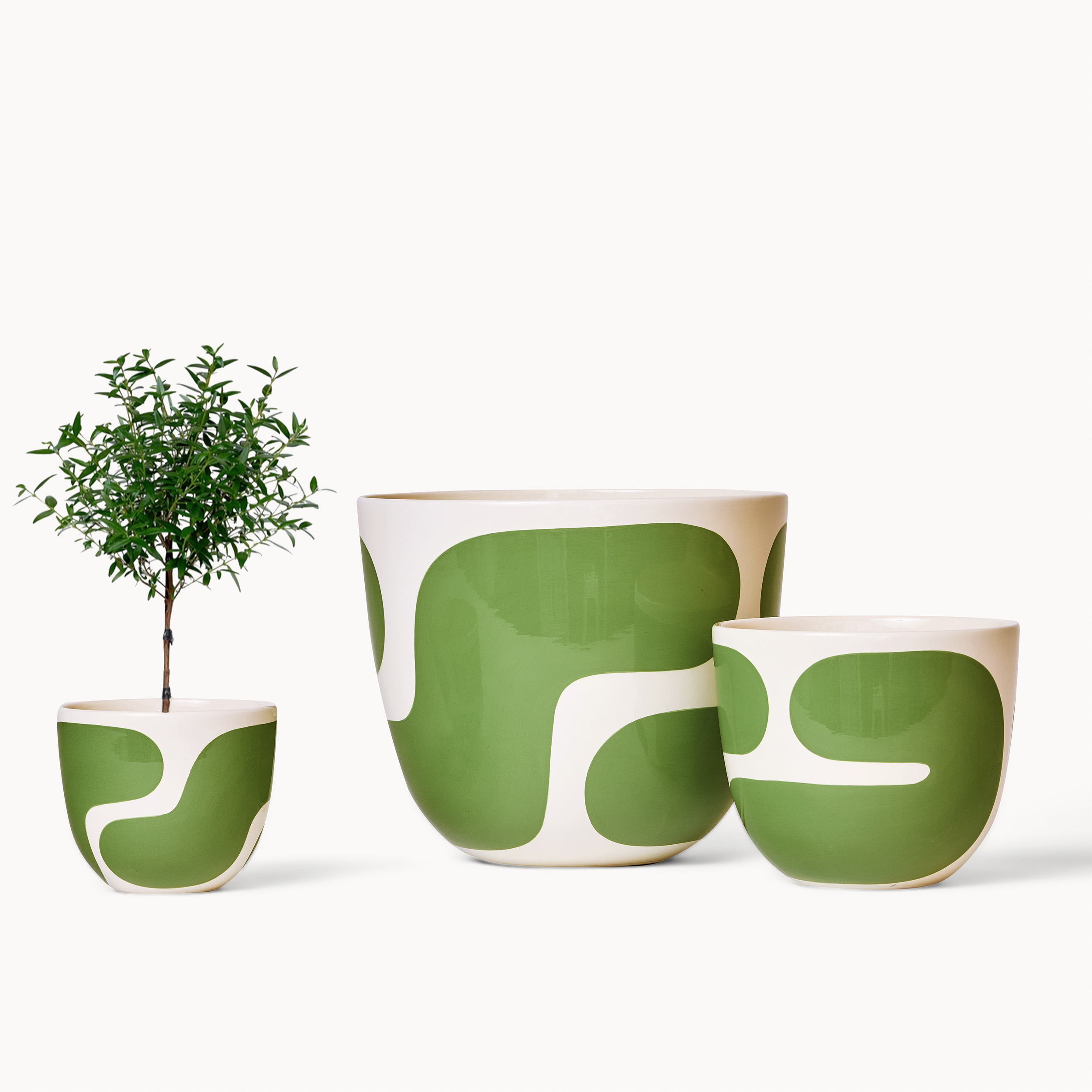 finca mdw cb group.png