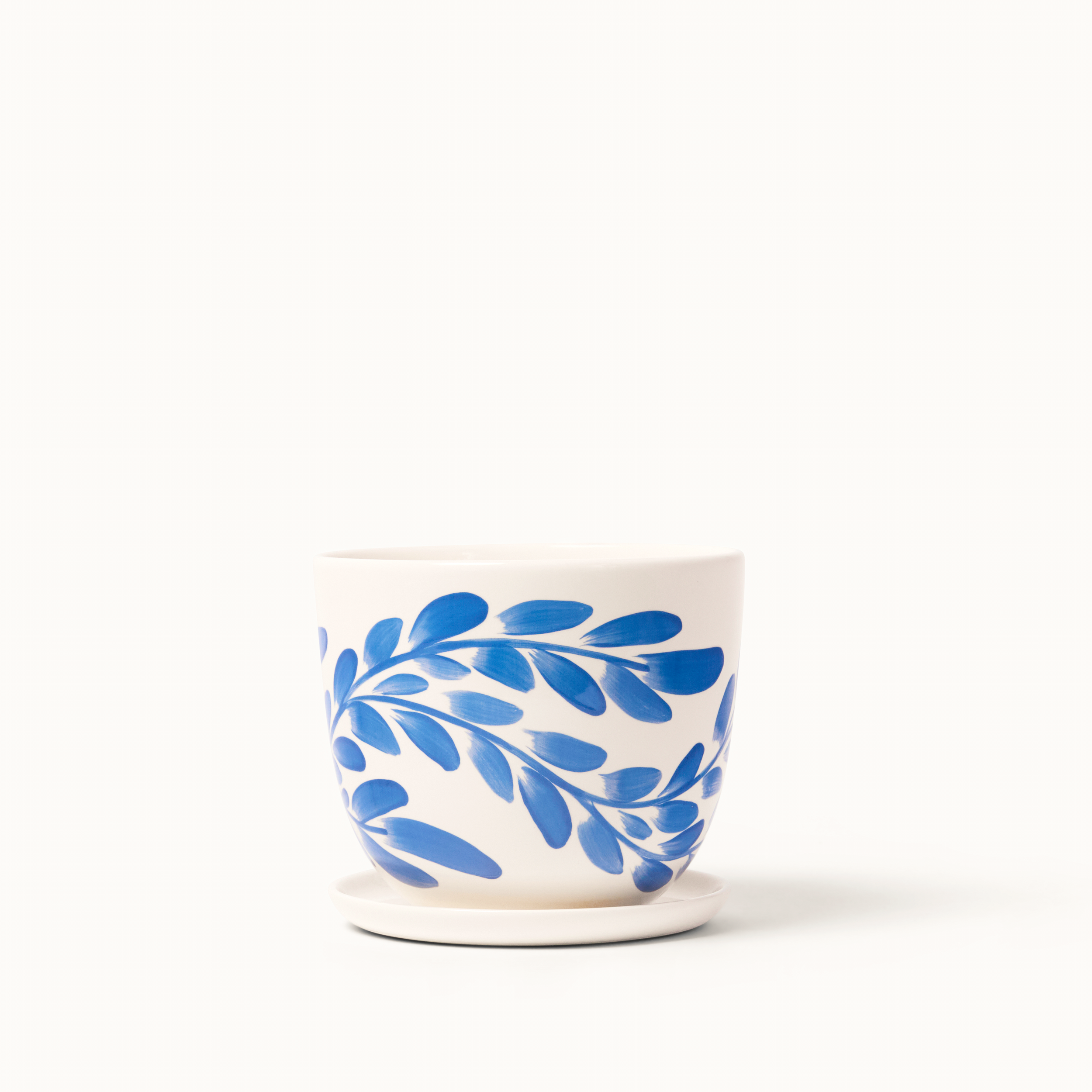 finca cob wil med 3.png