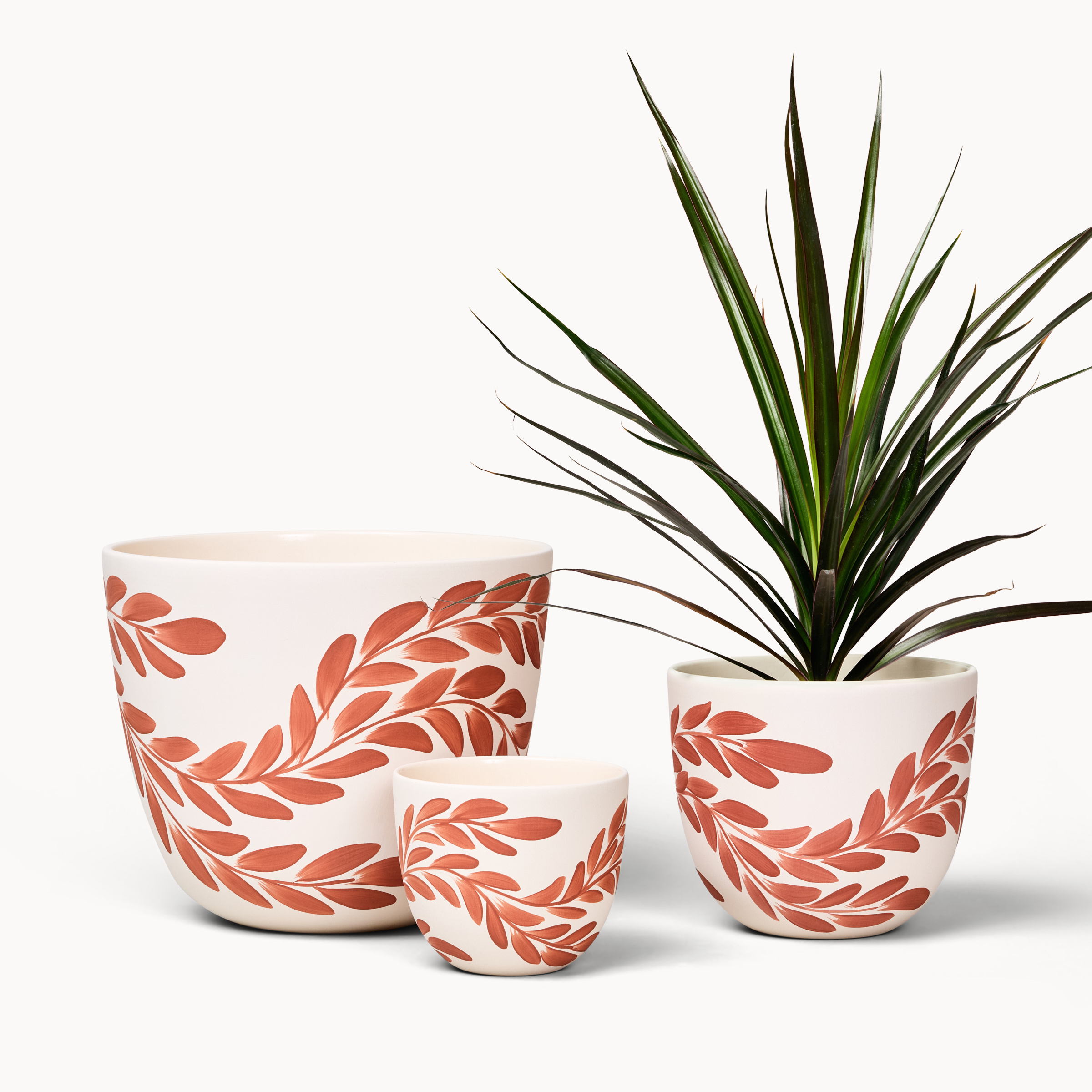 willow canyon planters.png