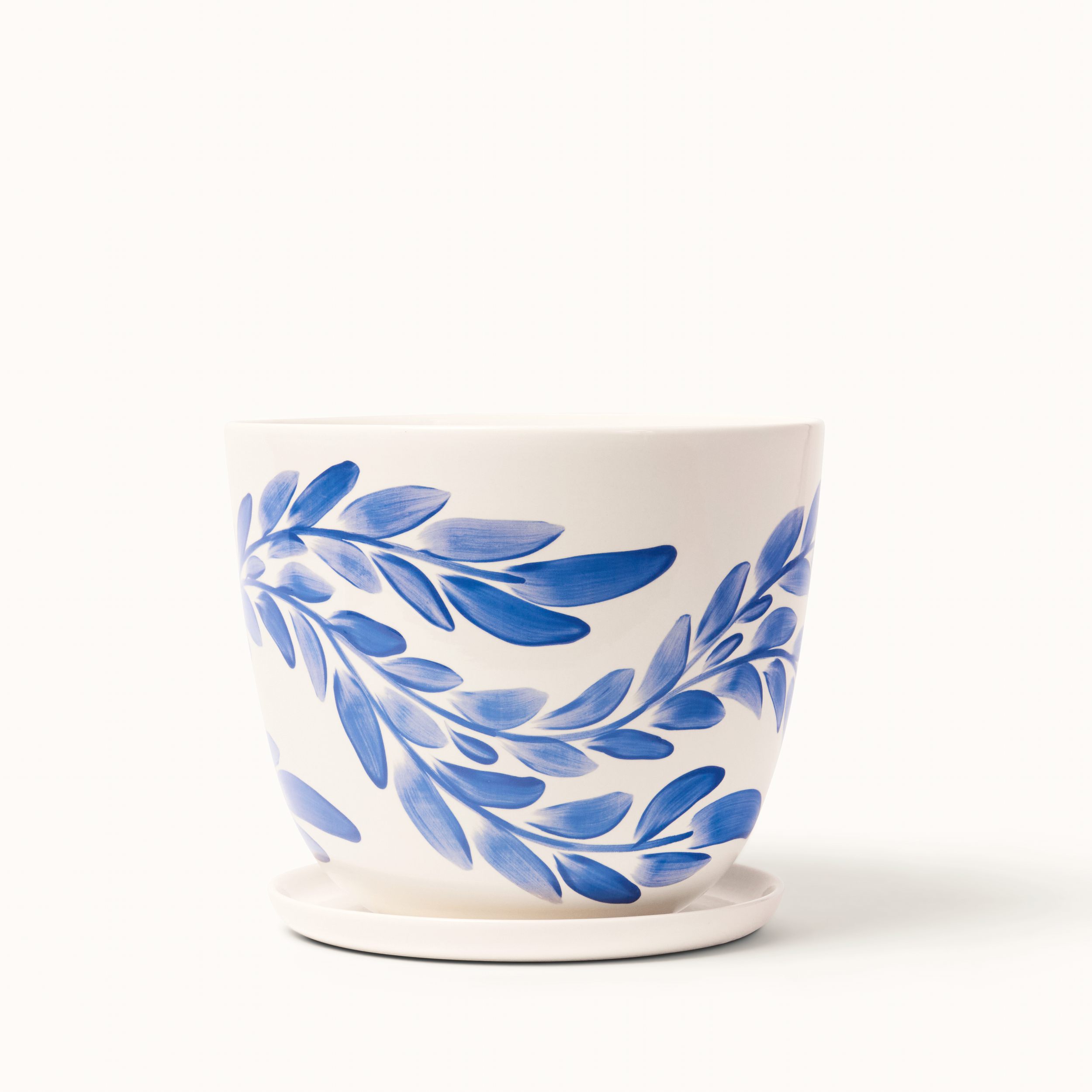 finca cob wil lrg 1.png