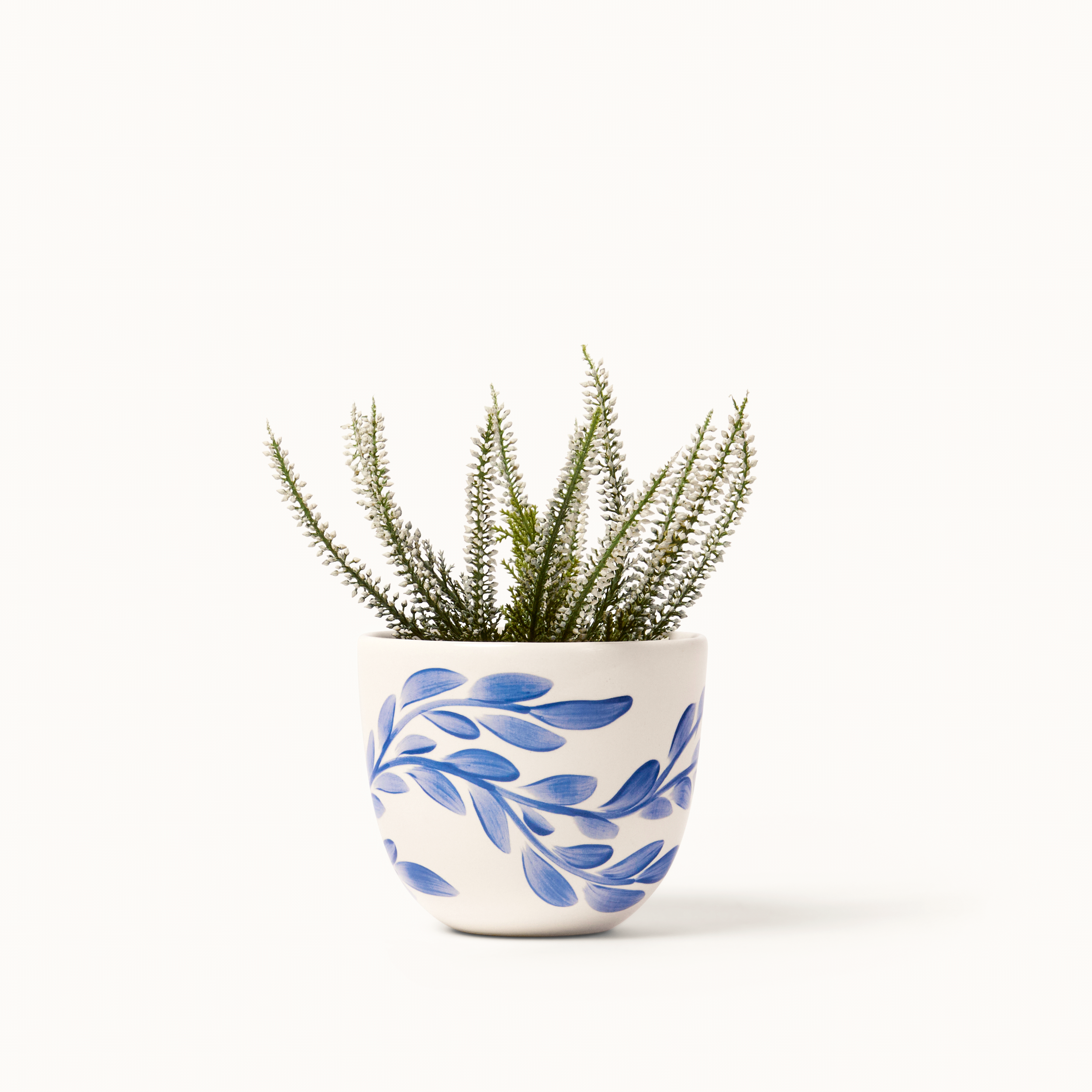 finca cob wil sm 3.png