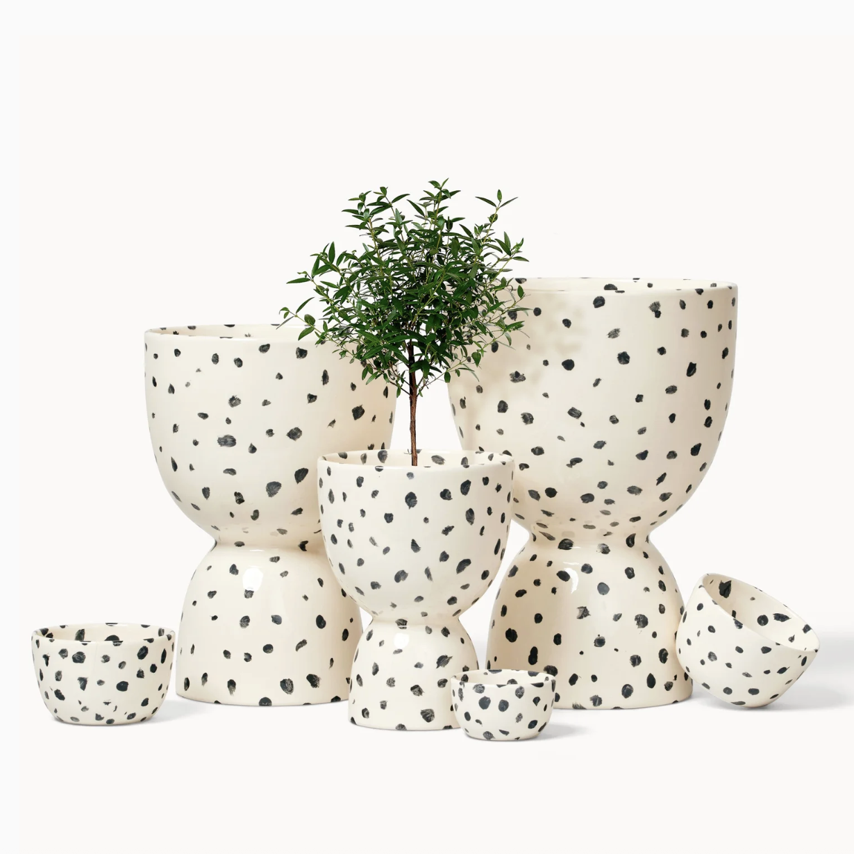 Screenshot 2025-11-21 at 2.08.37 PM.png