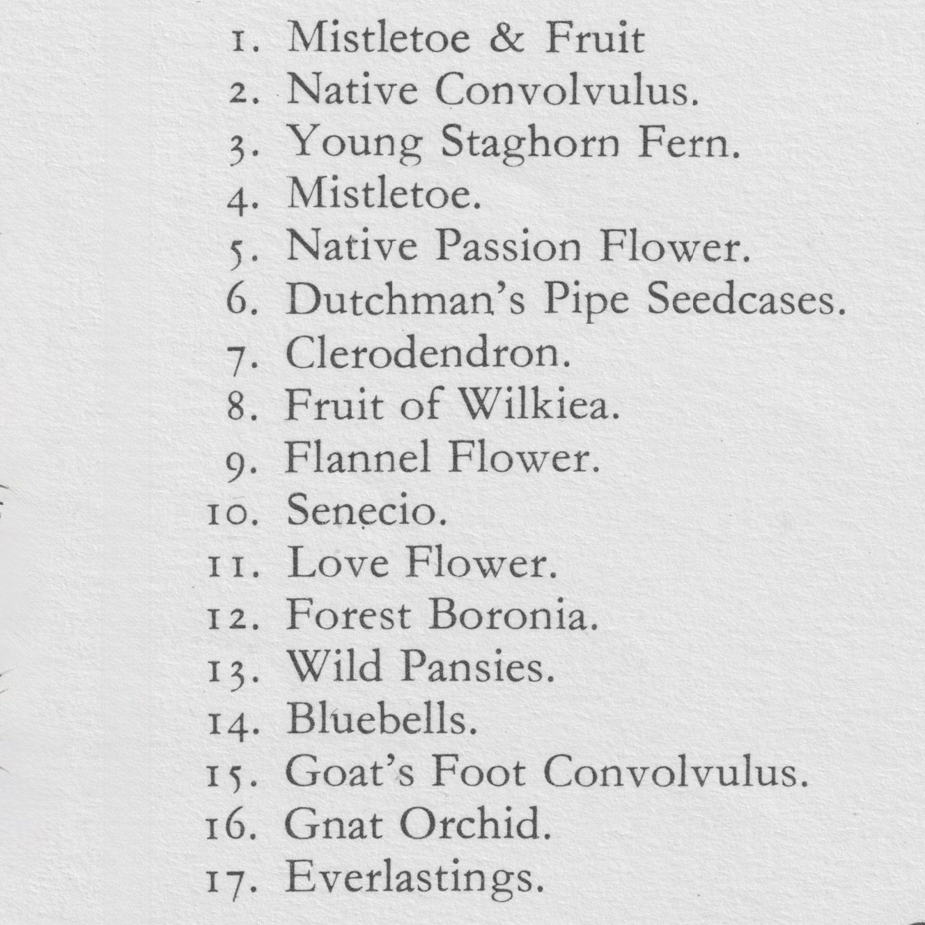 Lamington wildflowers 2 1.jpeg