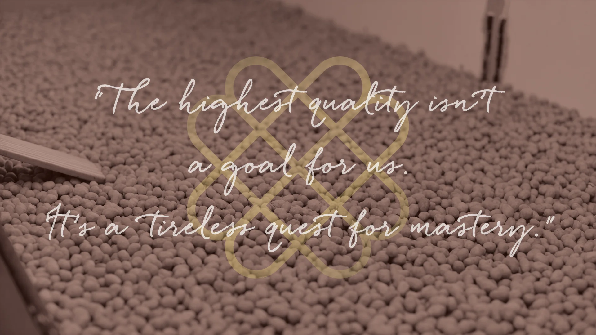 quoteimage.jpg