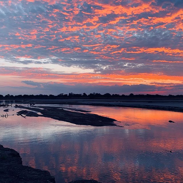 Good evening from #safari_explorers_camp in the #nsefusector in #southluangwanationalpark #sunset #africasafari #realafrica