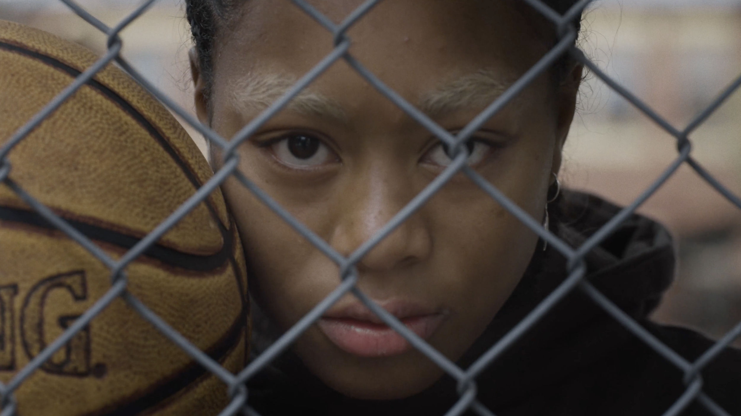 Screenshot 2026-02-15 at 5.32.49 pm.png