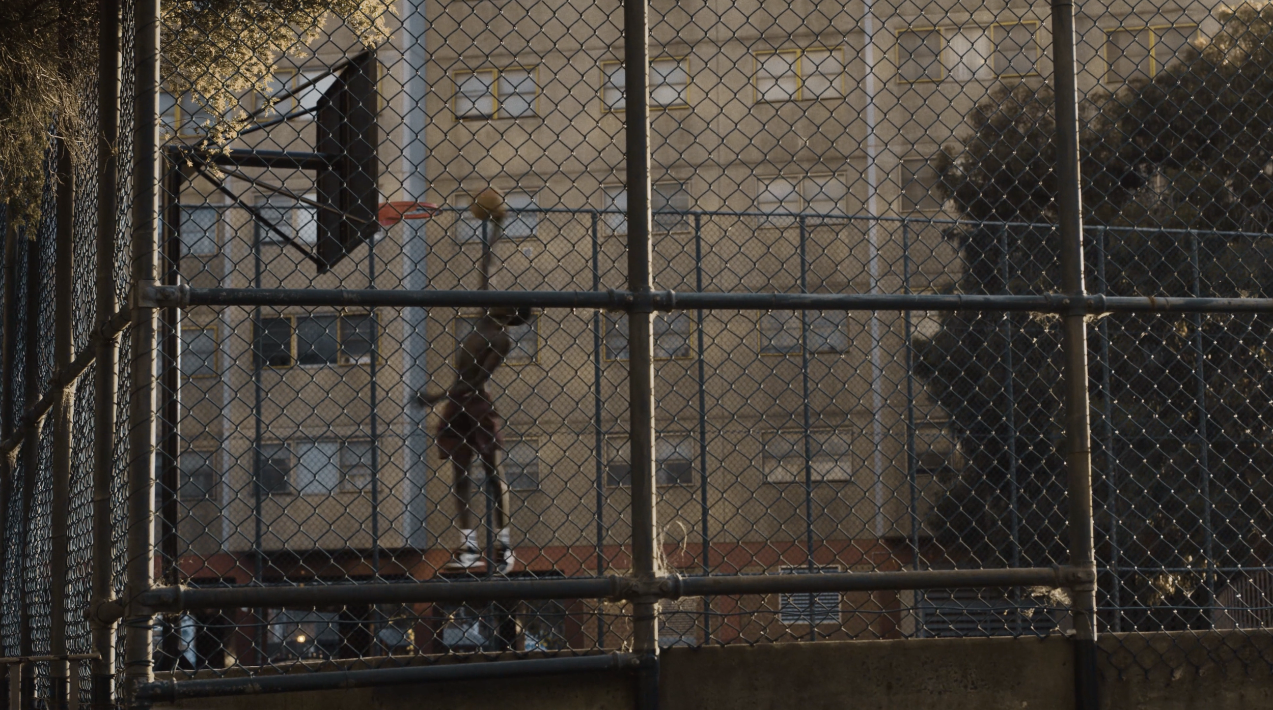 Screenshot 2026-02-15 at 5.30.25 pm.png