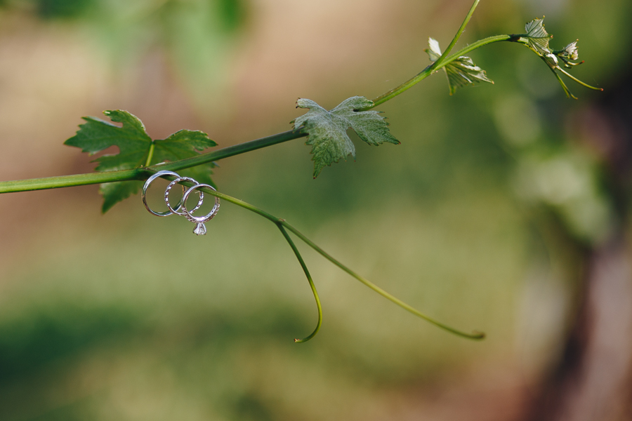 beckenridge-vineyard-wedding-salem-oregon-venue-39.jpg