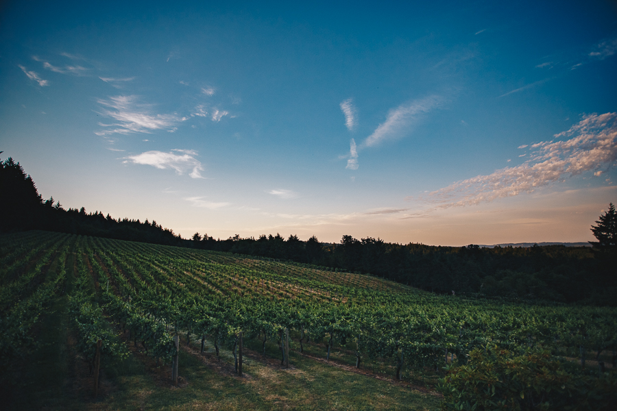 beckenridge-vineyard-wedding-salem-oregon-venue-67.jpg