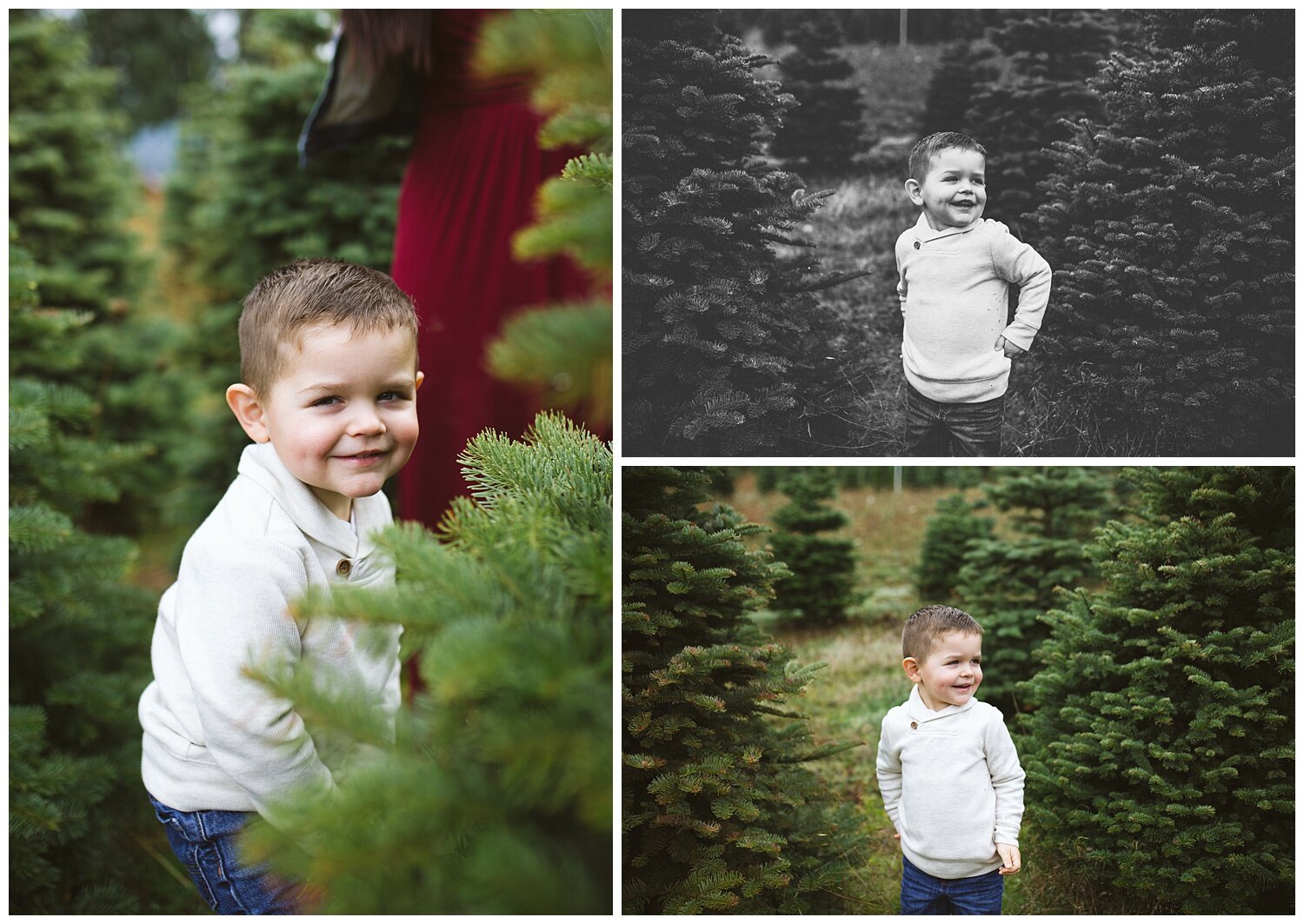 christmas-tree-farm-family-photography_0418.jpg