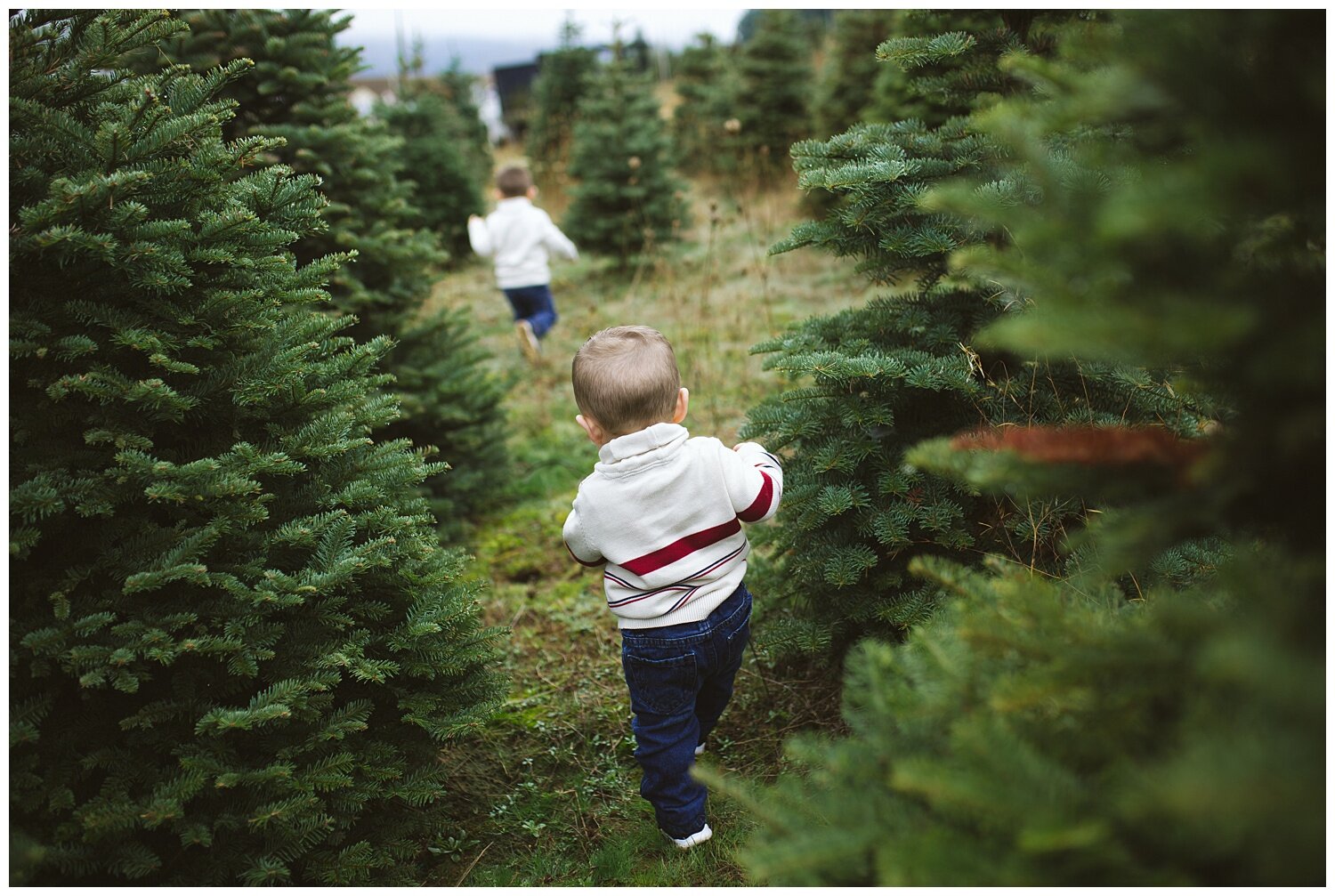 christmas-tree-farm-family-photography_0419.jpg