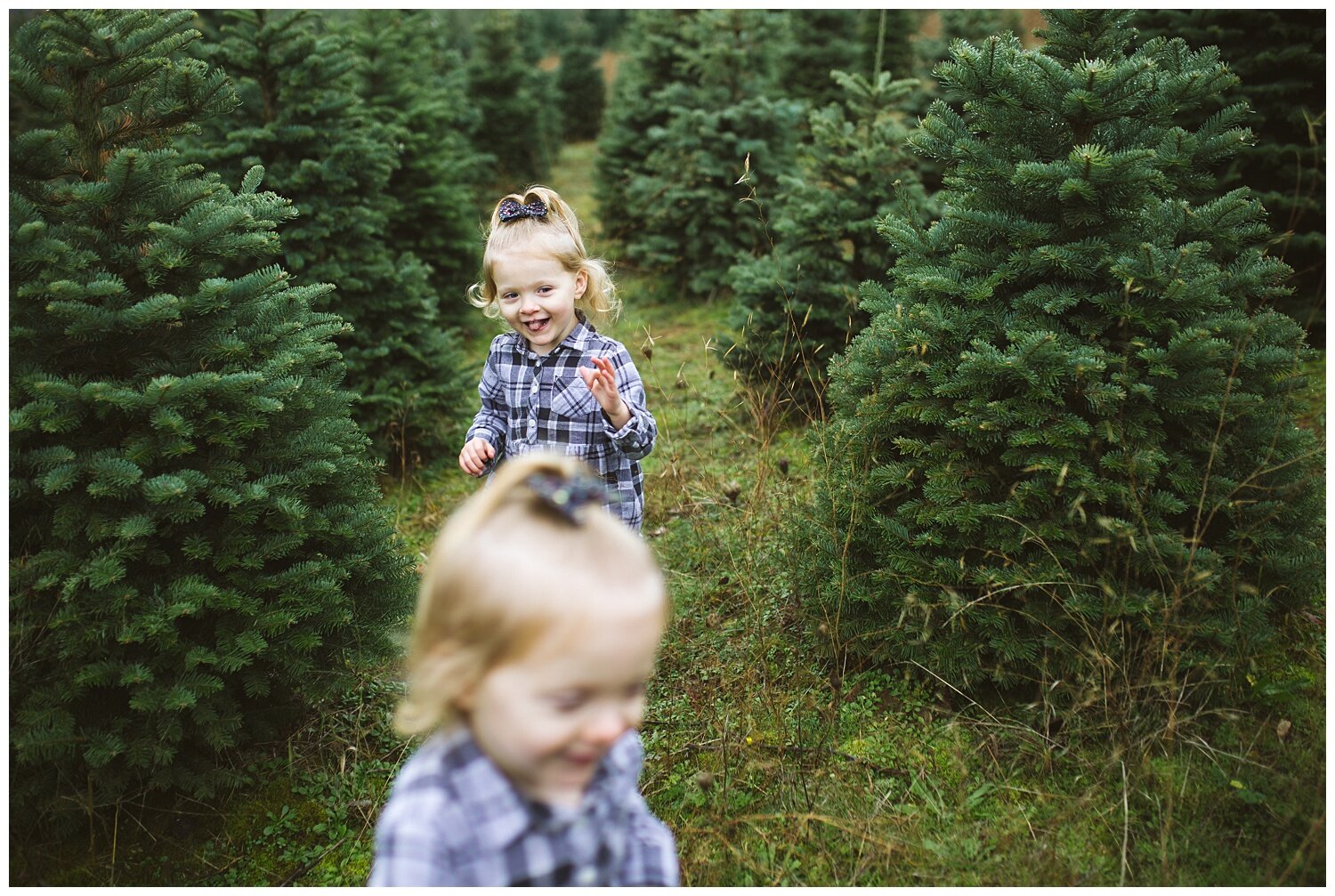christmas-tree-farm-family-photography_0442.jpg