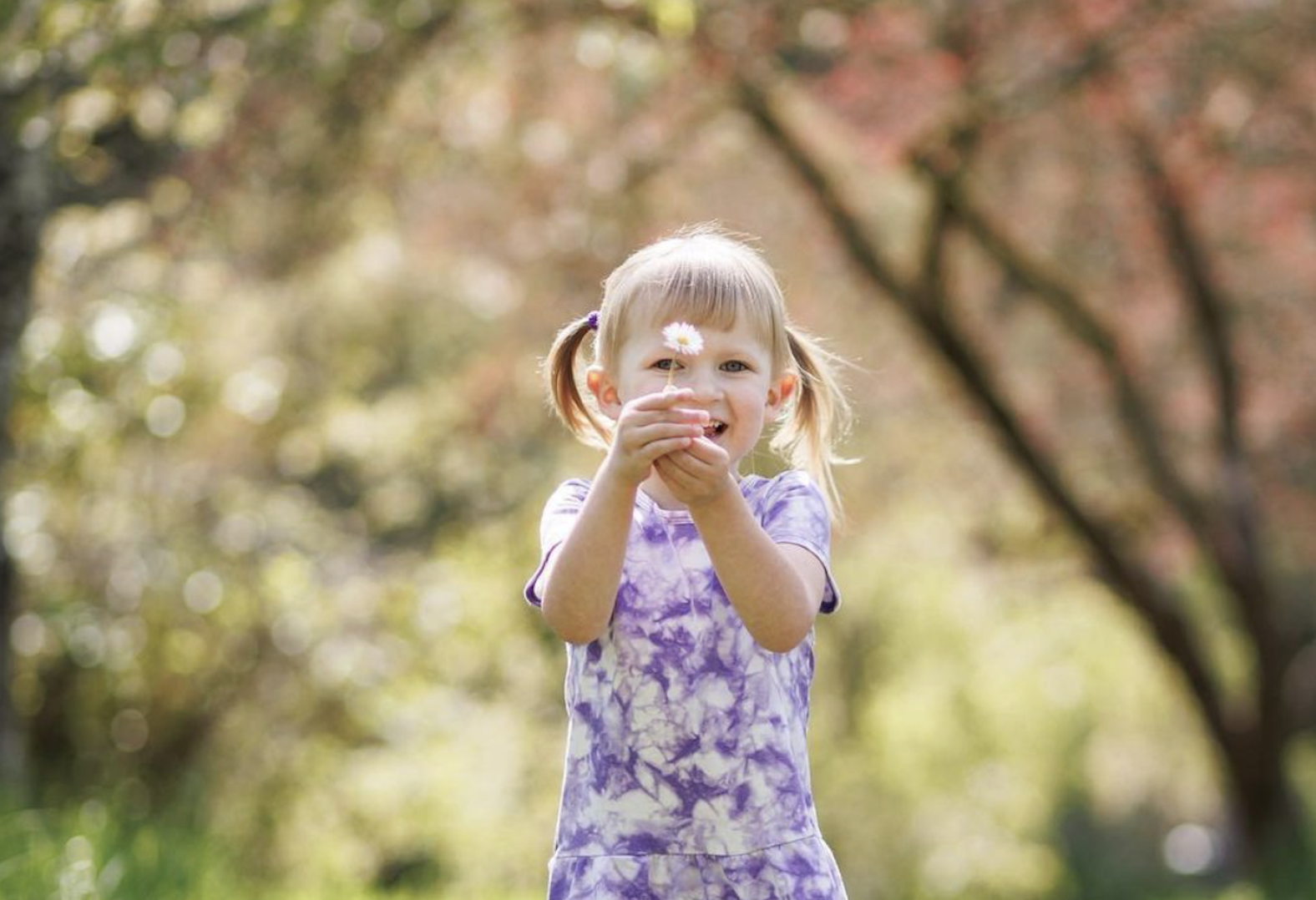 Upcoming Seasonal Mini Sessions  - Spring