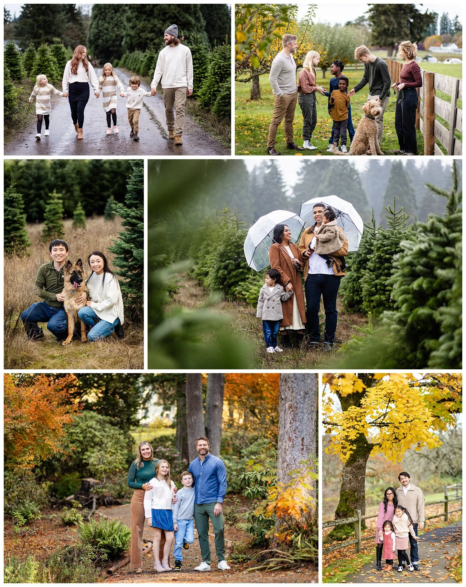 2026 Fall &amp; Christmas Mini Sessions| Oregon Family Photographer