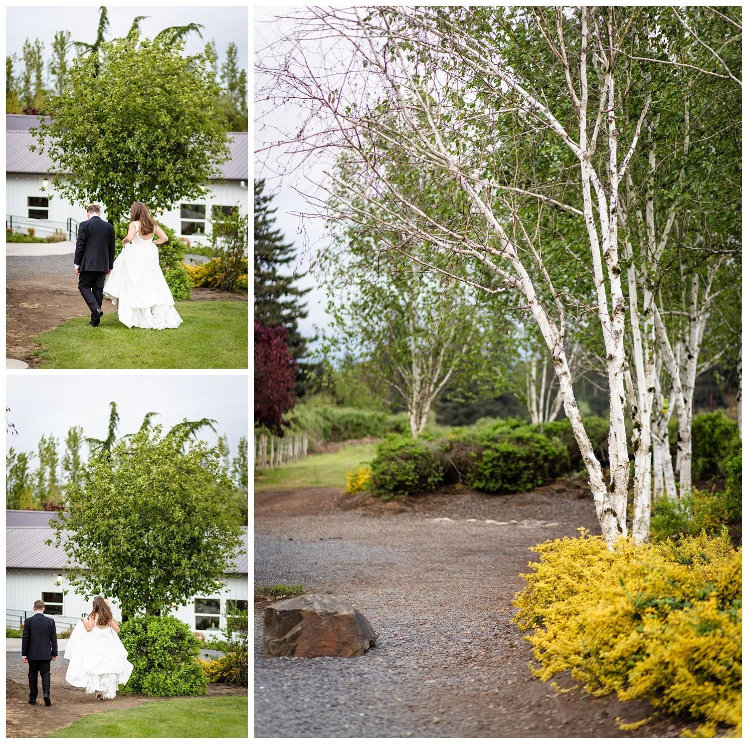 AURORA-vineyard-oregon-wedding-photographer_0171.jpg