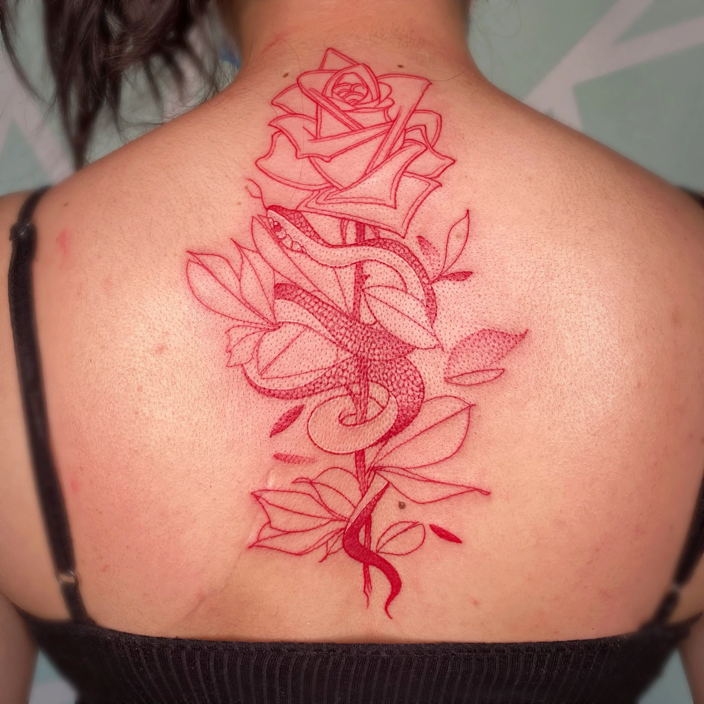 AfterlightImage 12.JPG