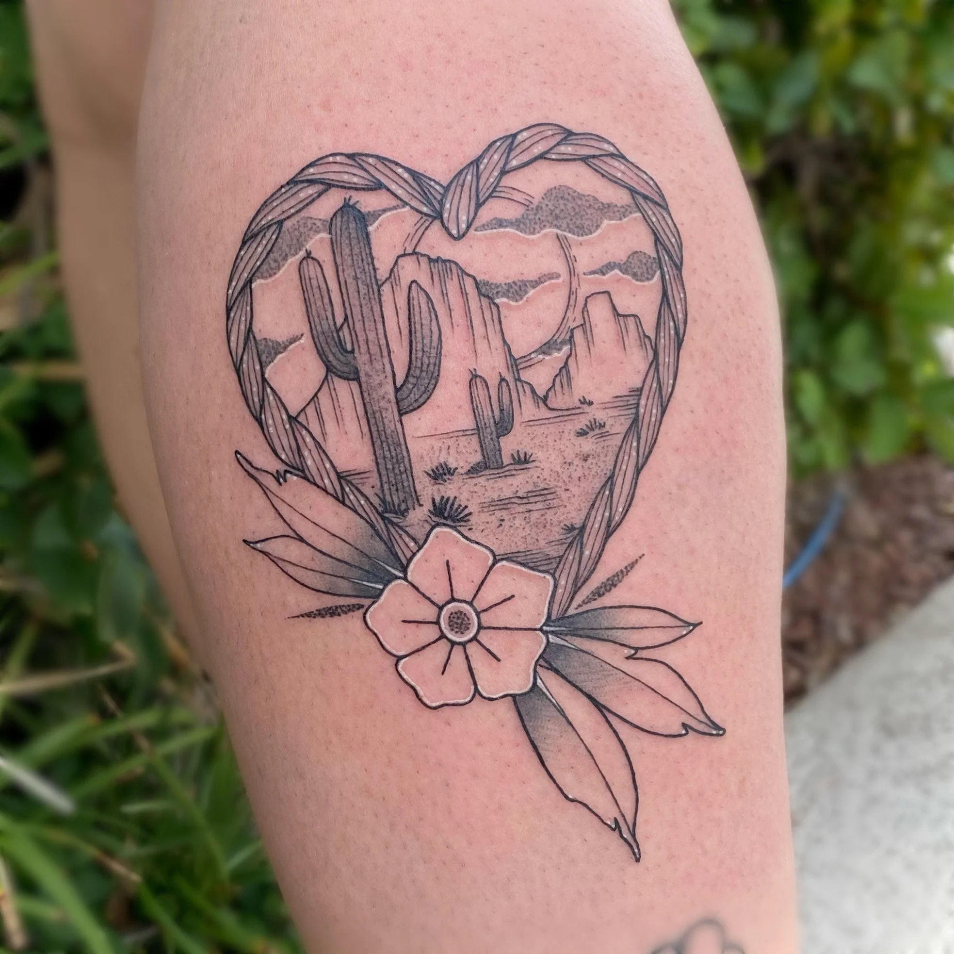 AfterlightImage 24.JPG