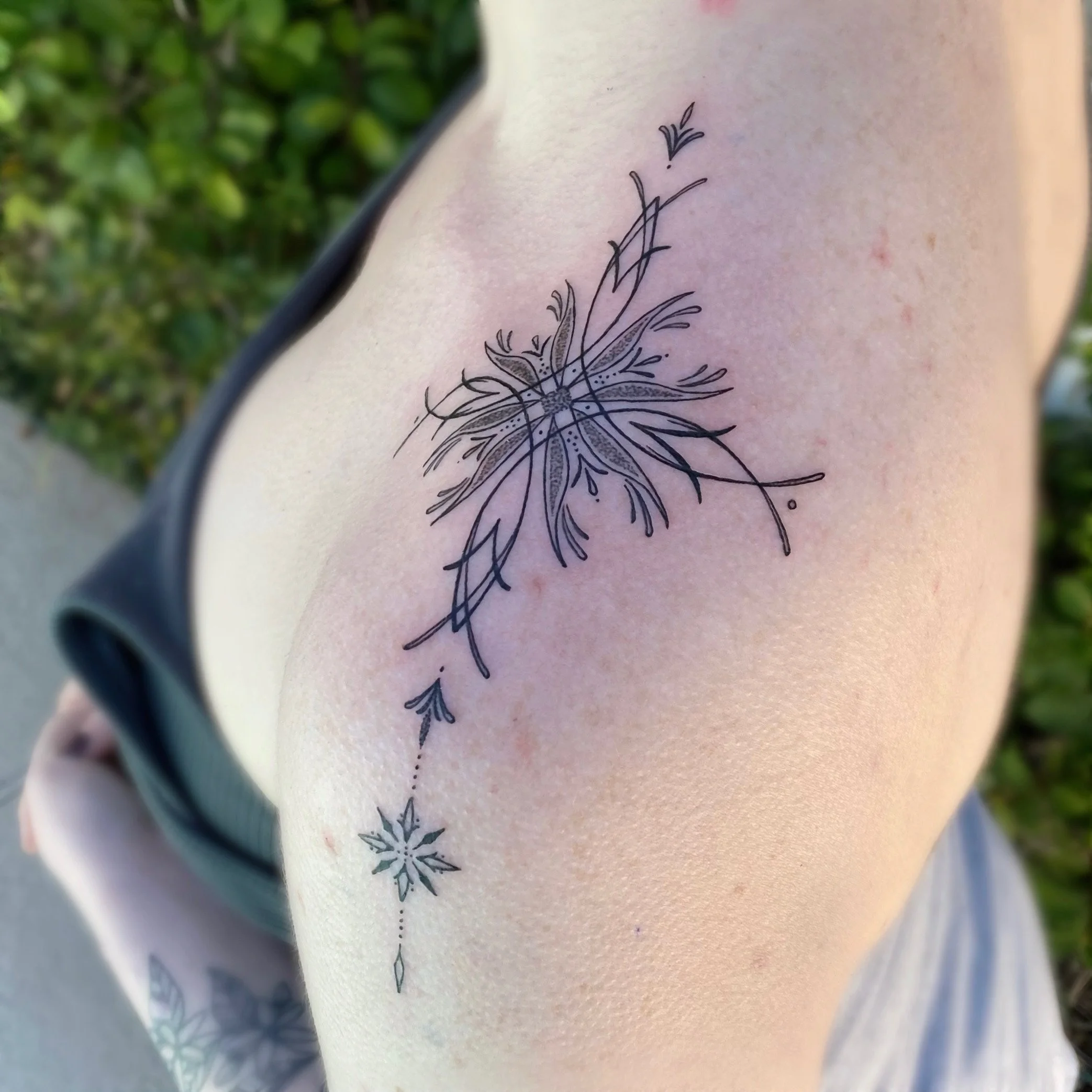 AfterlightImage 28.JPG