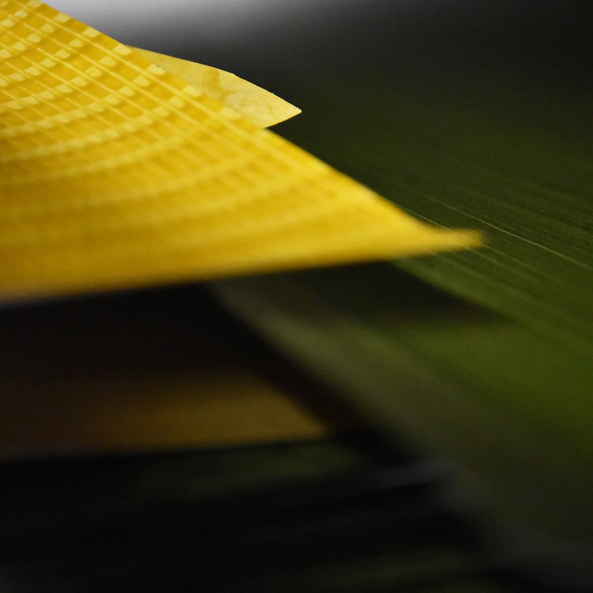 yellow_paste_paper_on_green.jpg