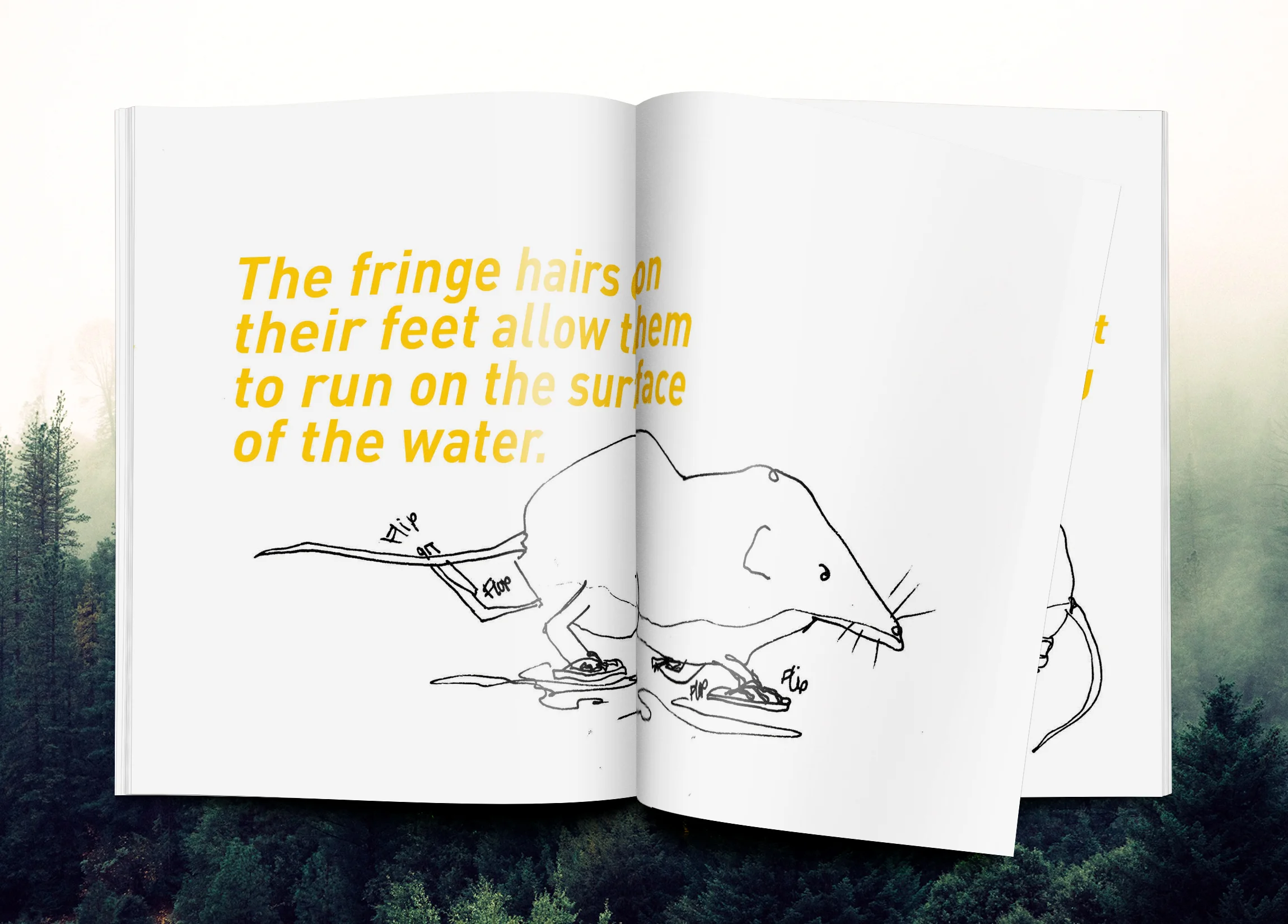 critters_zine_mock_up.jpg