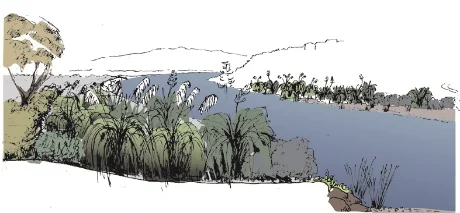 Waikanae River reveg project