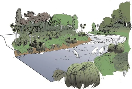 Riparian restoration planning.jpg
