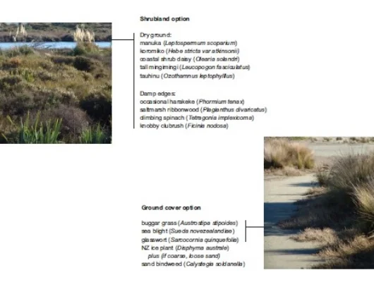 Estuary restoration.jpg