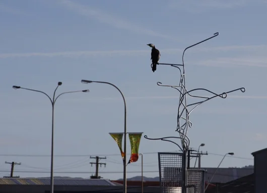 WAIWHETU BIRD ROOST.jpg