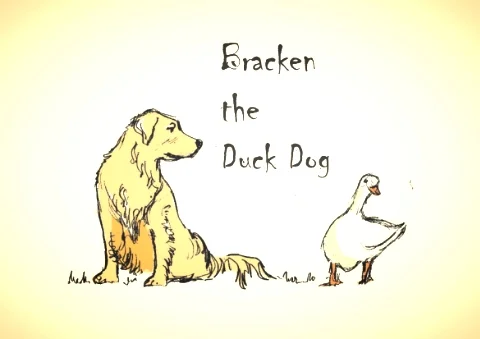 bracken ducks cover.jpg