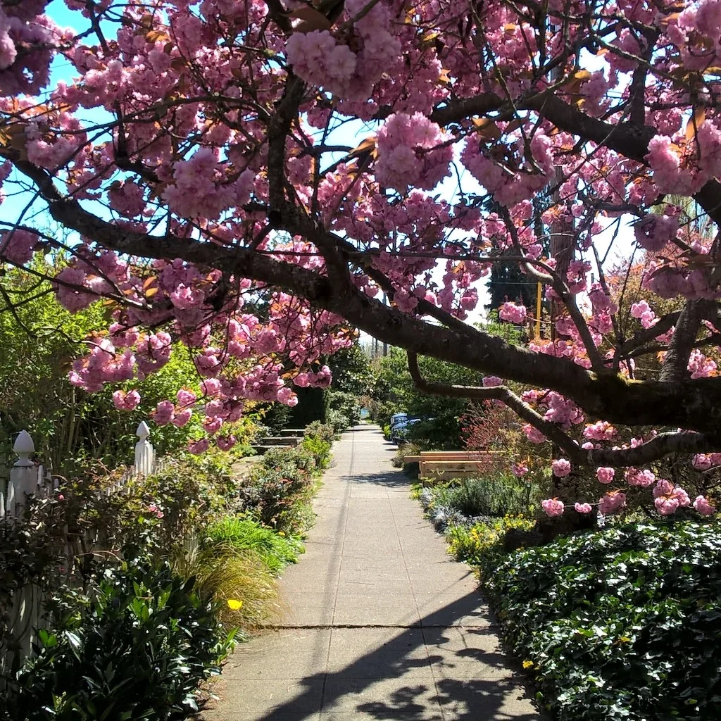 For the Love of Rosemary