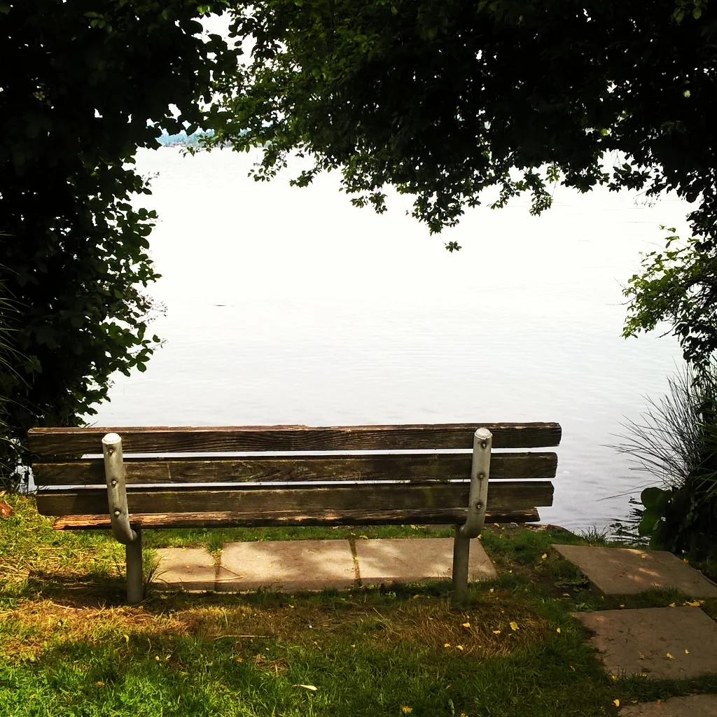 Why is Loneliness Difficult to Confess?