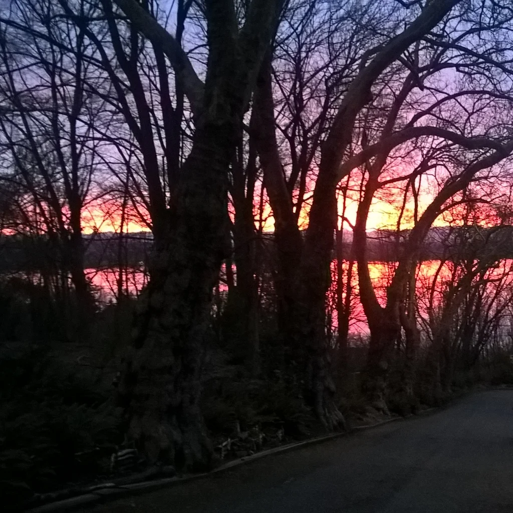 Listening For What Might Be Revealed