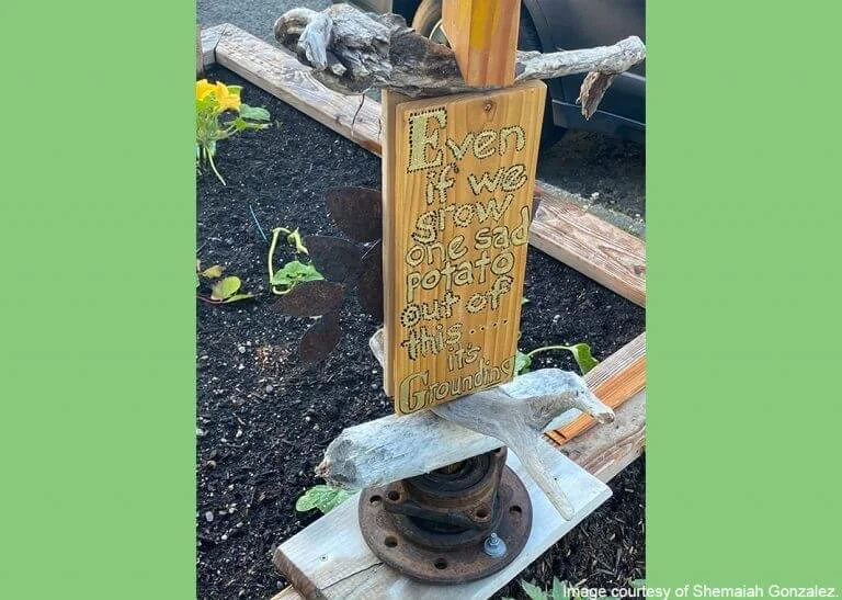 The Hope of Sidewalk Victory Gardens