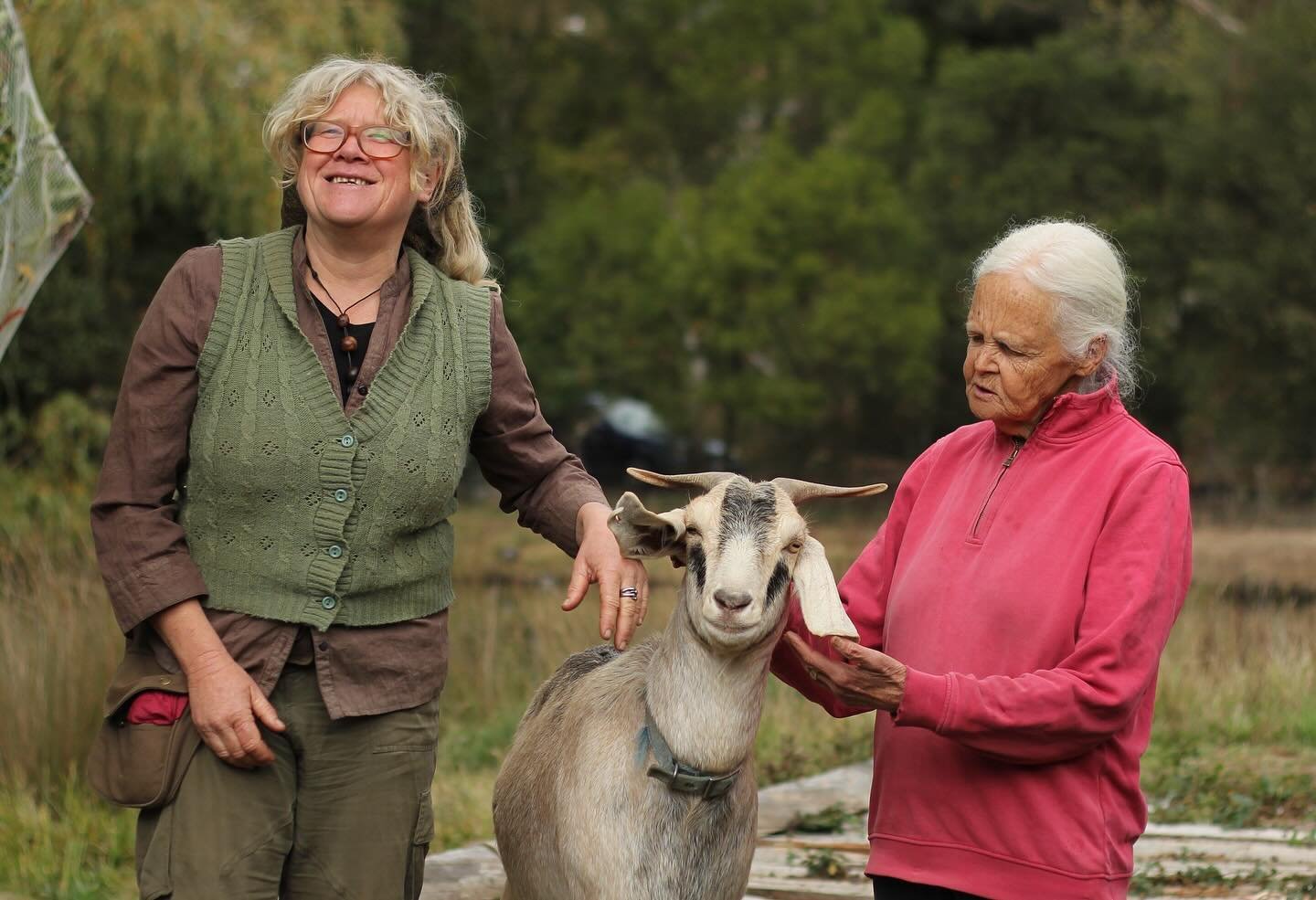 Feeling ensmartened in the goatkeeping arts after a day of learning with Beck Lowe. What a primo doe!
📸 
1. Goat girl gang.
2. That look when you&rsquo;re a conduit for deep caprine wisdom and you know it.
3. Post mortem mani-pedi
4. Patrick Jones s