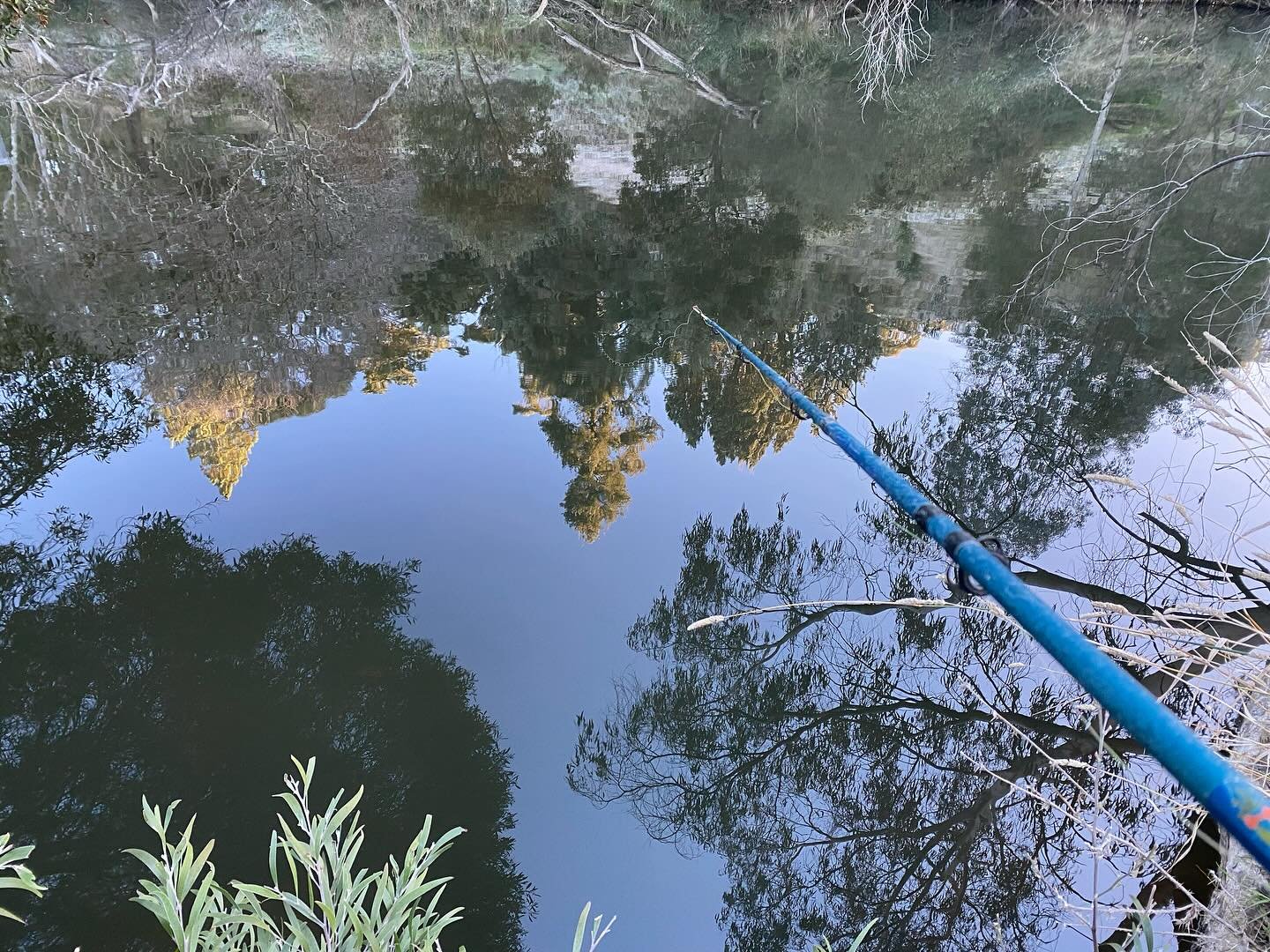My face was all purple with cold and puckered like a cat&rsquo;s bum on the morning we walked down to the river, rods in hand and tackle box clacking.

It was the ideal temperature for keeping Bird&rsquo;s Eye fish fingers preserved in perpetuity or 