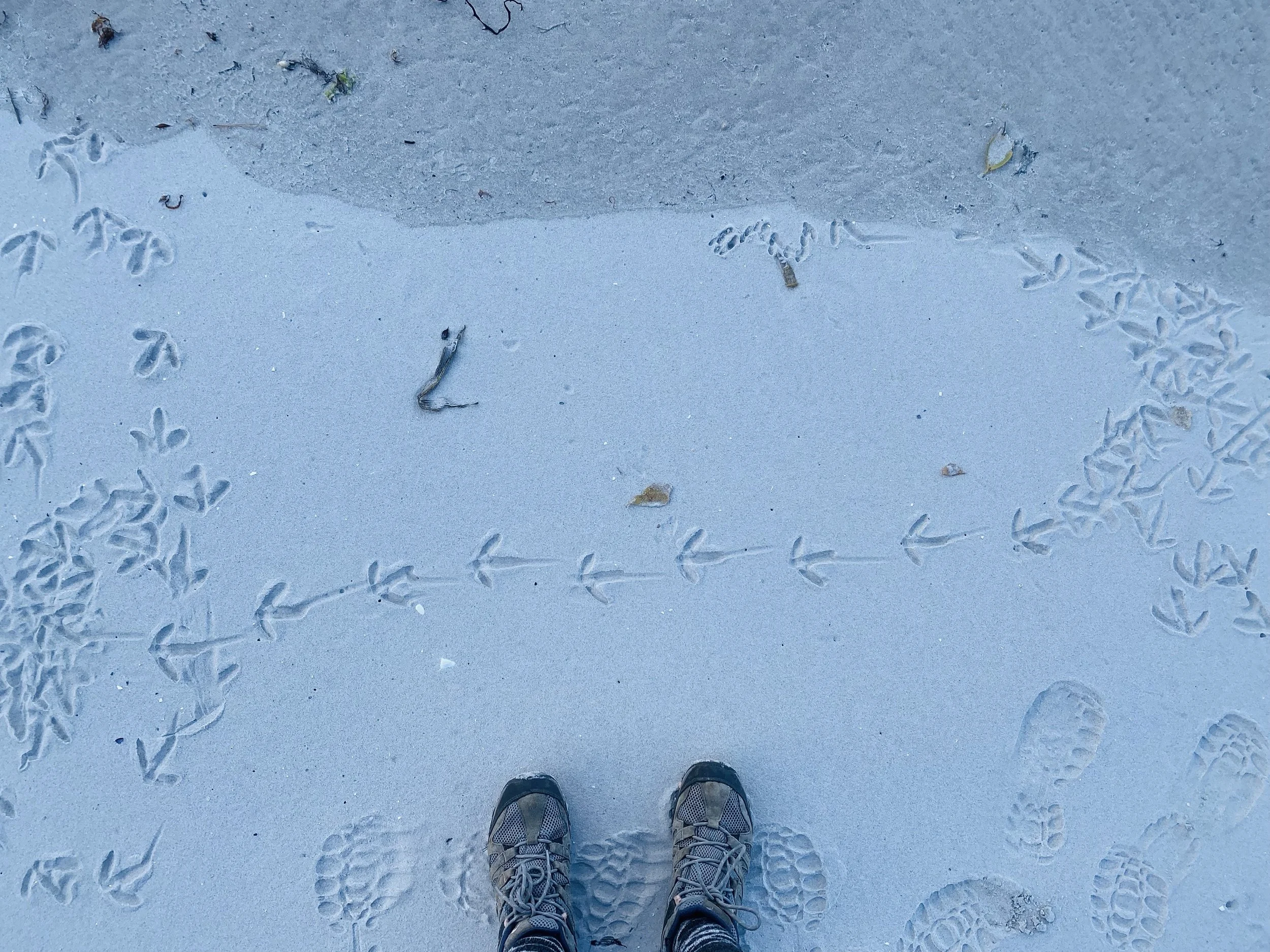 Intentional Travel Unravelled